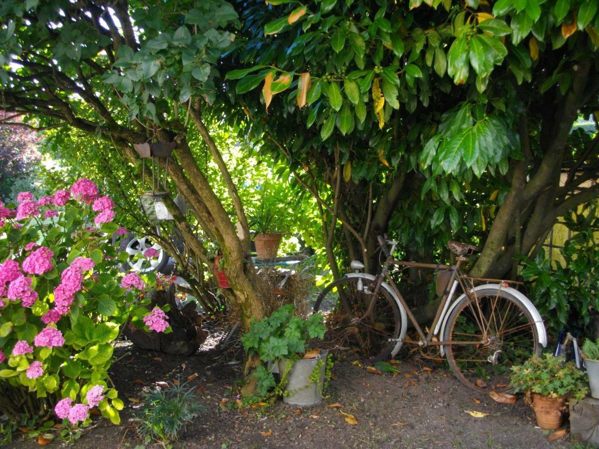 Au Bois Dormant Bed & Breakfast Huby-Saint-Leu Екстериор снимка